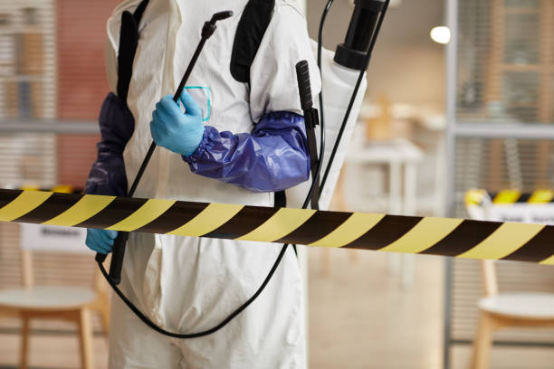 Professional Hoarding Cleanup technician working in Wellington, TX